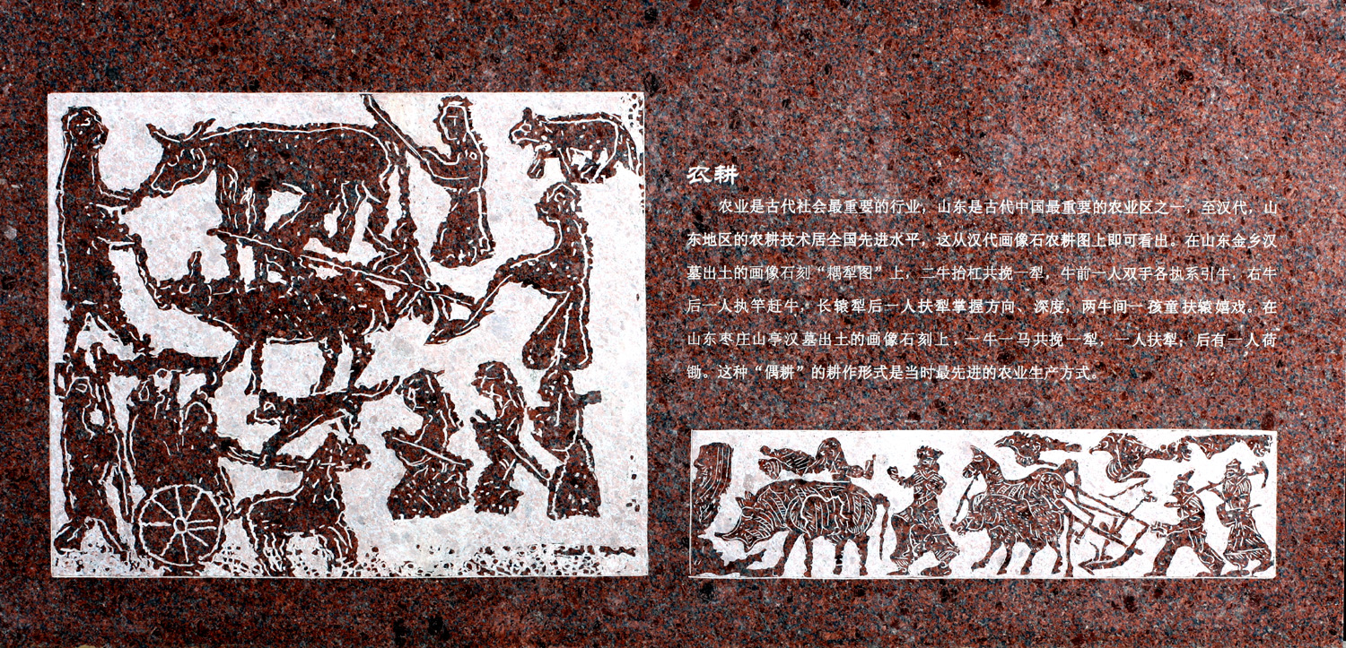 农耕-齐鲁师范学院︱Qilu Normal University